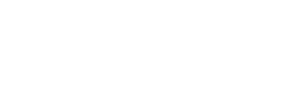 Partenon IT